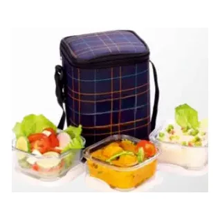 Glass Tiffin 3 Container