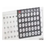 Lifetime Calendar Small with Watch