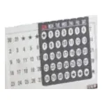 Lifetime Calendar Big with Watch